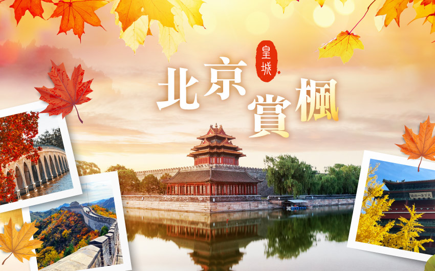 北京皇城賞楓６日